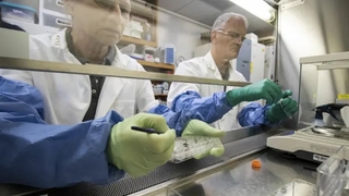 Ay toprağında filizlenen bitkilerden kötü haber geldi