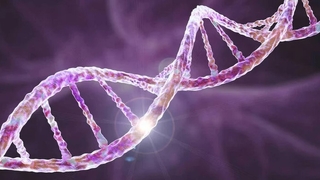 Ayak izi veya nefesten insan DNA'sı tespit edilebiliyor