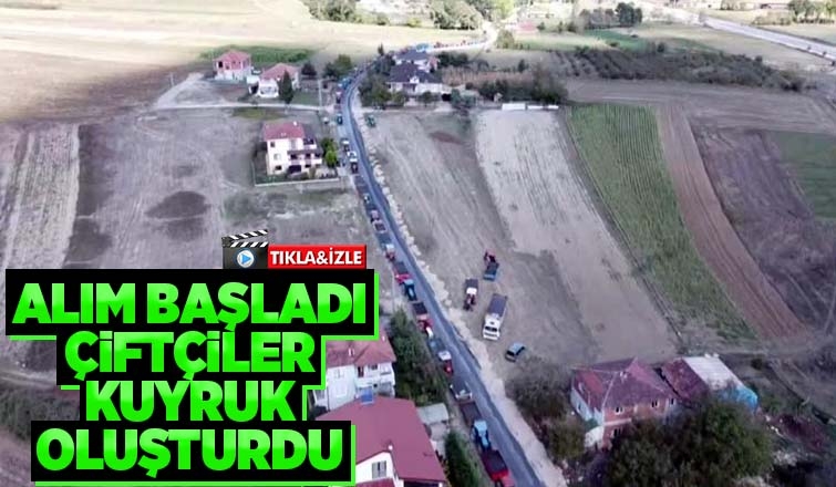Ayçiçeği alımları başladı, çiftçiler kuyruk oluşturdu