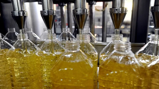 Ayçiçek yağı ithalatına kota dönemi uzatıldı