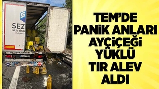 Ayçiçek yağı yüklü TIR'da yangın
