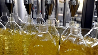 Ayçiçek yağına yeni zam yolda