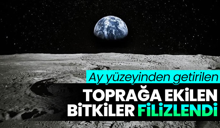 Aydan getirilen toprakta bitki yetiştirdiler