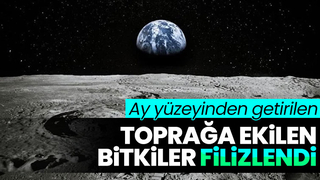 Aydan getirilen toprakta bitki yetiştirdiler