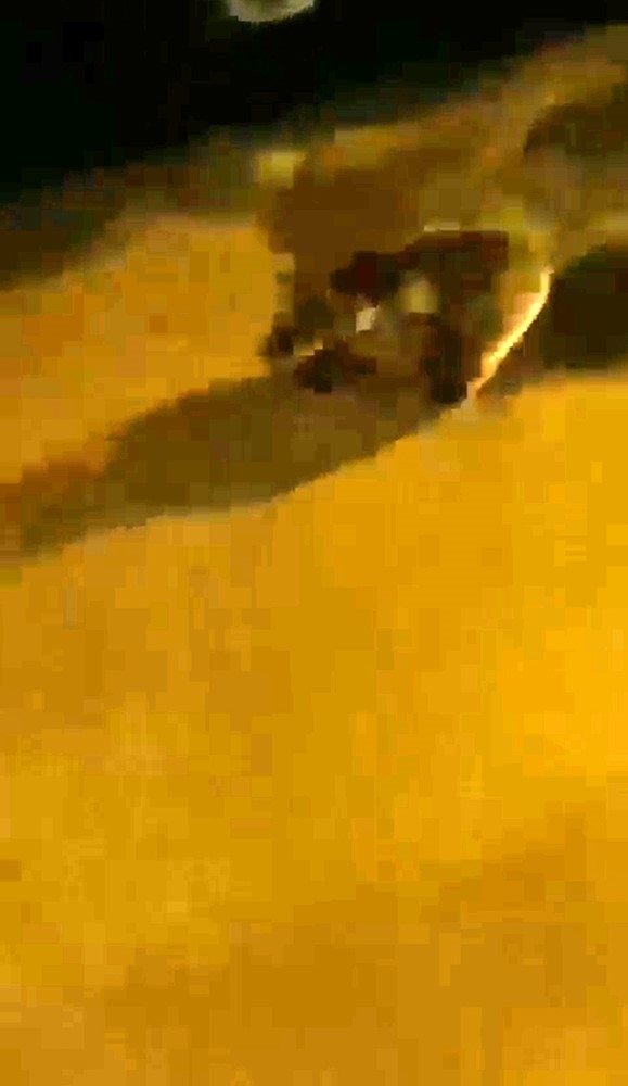 Ayı ilçe merkezine indi