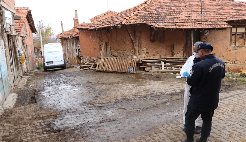 Ayı parçalayıp öldürdü