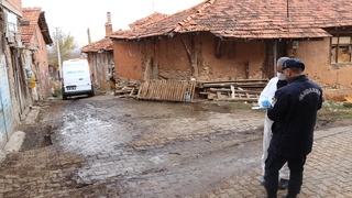 Ayı parçalayıp öldürdü