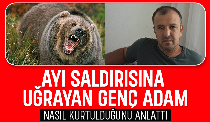 Ayı saldıısından böyle kurtulmuş