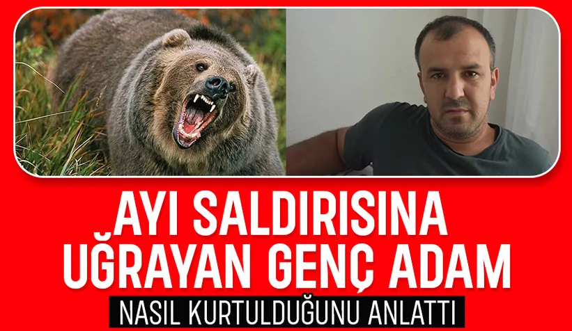 Ayı saldıısından böyle kurtulmuş