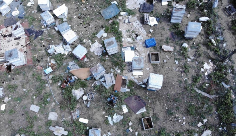 Ayılar aç kalınca kent merkezine indi