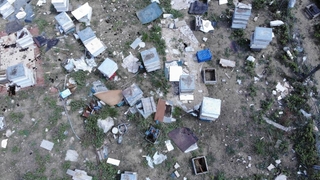 Ayılar aç kalınca kent merkezine indi