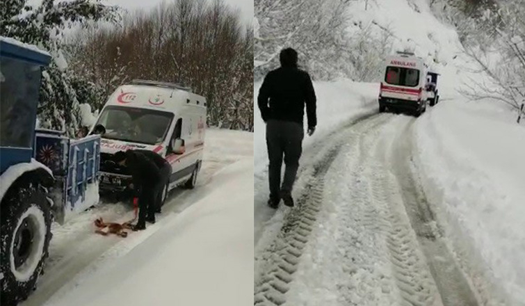 Aynı mahallede 4 ambulans kara saplandı