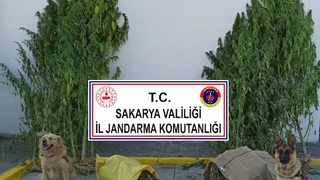 Baba için ek gözaltı süresi alındı, oğlu serbest