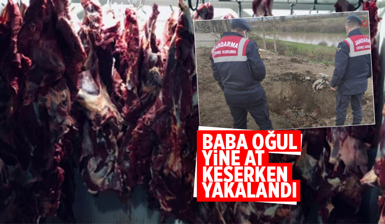 Baba oğul yine at keserken yakalandı