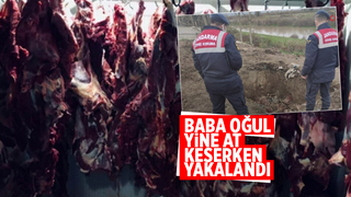 Baba oğul yine at keserken yakalandı