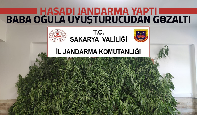 Baba ve oğlu uyuşturucudan gözaltında