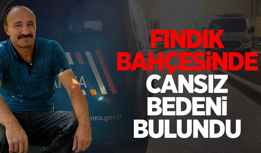 Babasını fındıklıkta ölü buldu