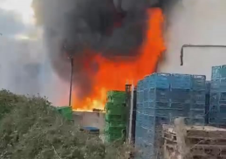 Babasının işyerini ateşe verdi