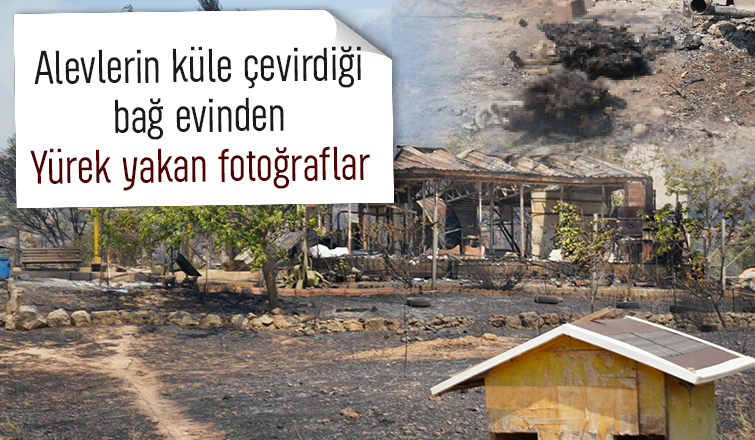 Bağ evi yanarken kanatlı hayvanlar telef oldu