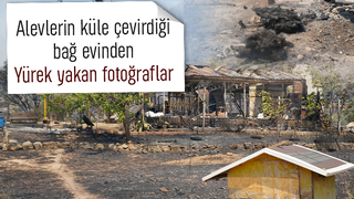 Bağ evi yanarken kanatlı hayvanlar telef oldu