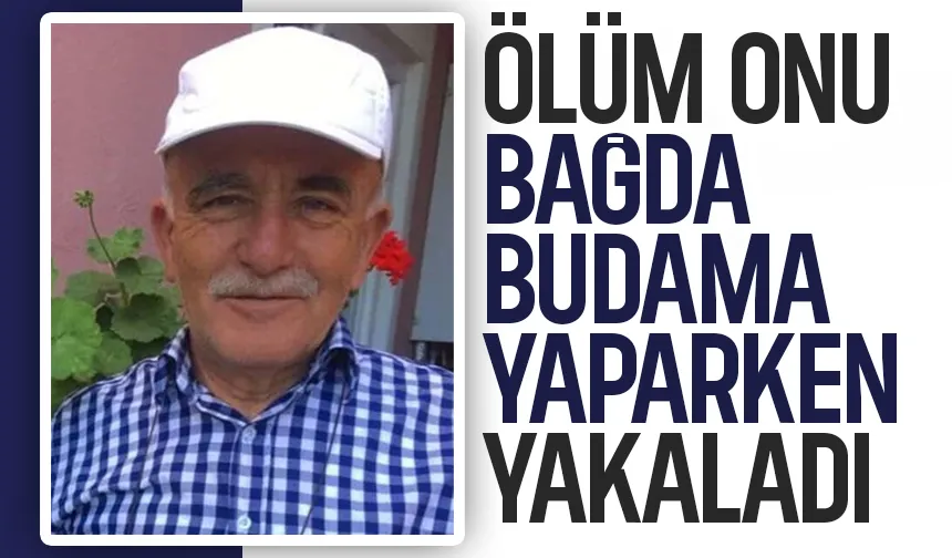Bağda budama yaparken hayatını kaybetti