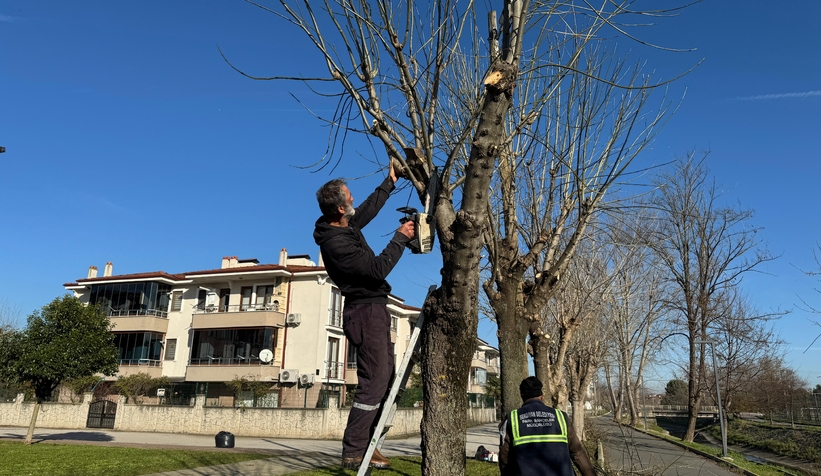 Bahçelievler’de çevre düzenlemesi