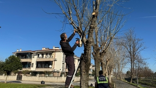 Bahçelievler’de çevre düzenlemesi