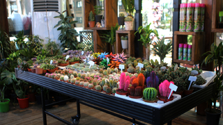 Bahçem satış merkezinin açılışı yapılıyor