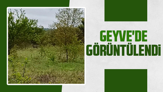 Bahçesinde görünce şaşkına döndü