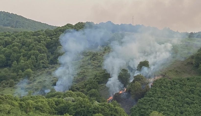 Bahçesindeki otları yakmak isterken ormanı yakıyordu