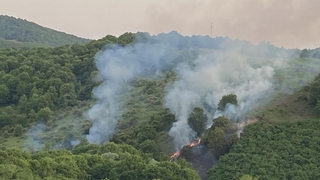 Bahçesindeki otları yakmak isterken ormanı yakıyordu
