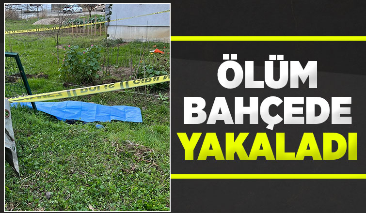 Bahçede çalışırken hayatını kaybetti