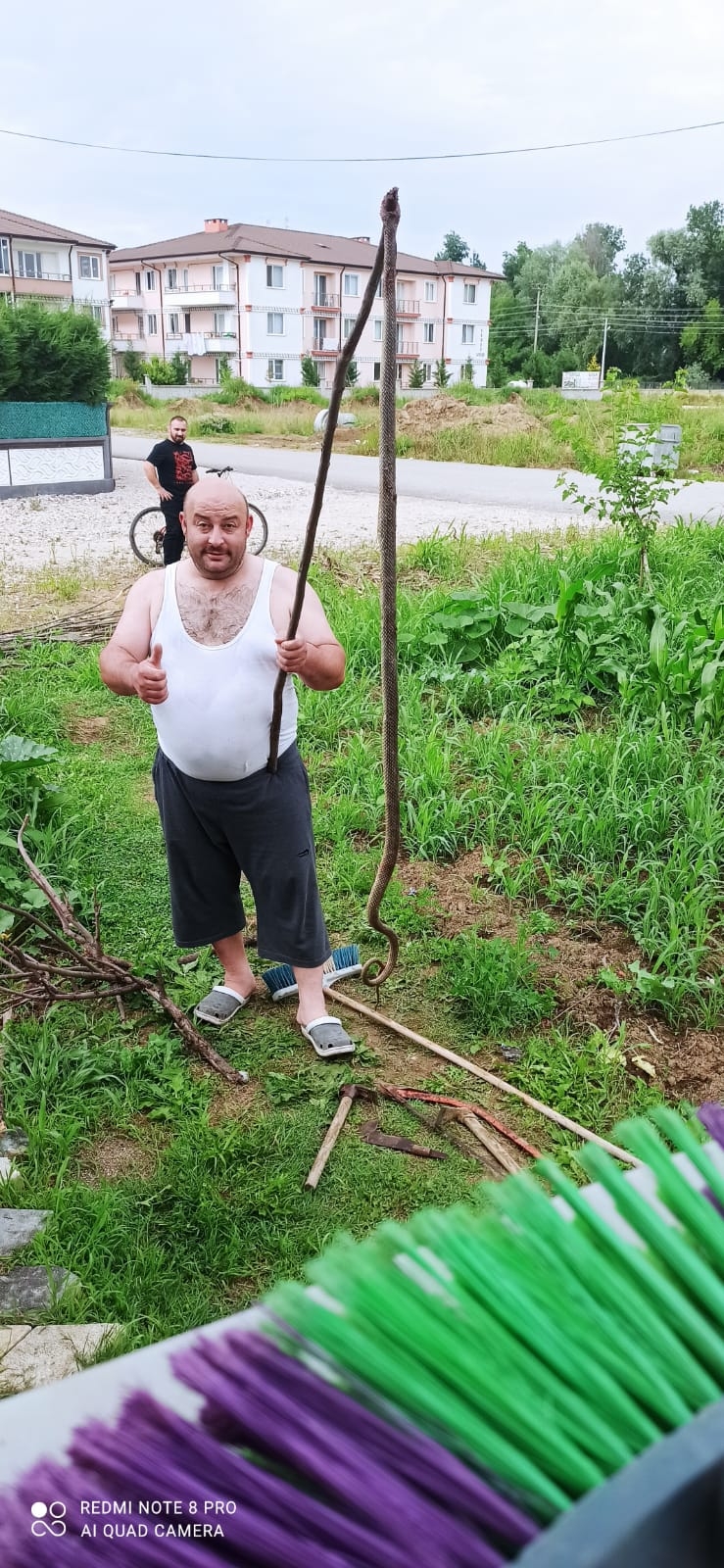 Bahçeye giren 2,5 metrelik yılan paniğe neden oldu