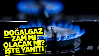 Bakan Dönmez'den doğalgaz zammı açıklaması