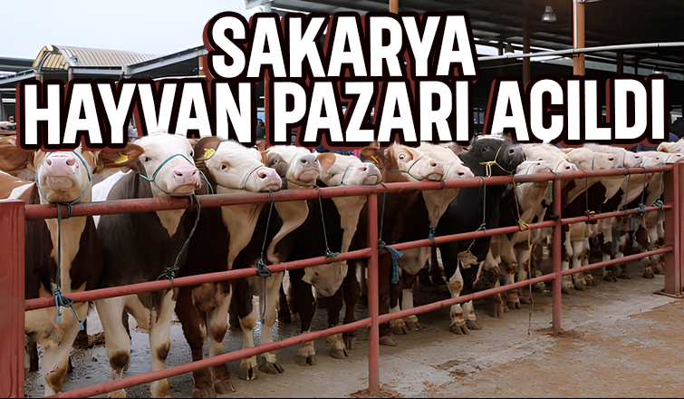 Bakan duyurdu; Sakarya'da hayvan pazarı açıldı