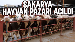 Bakan duyurdu; Sakarya'da hayvan pazarı açıldı