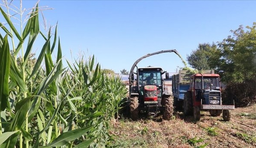 Bakan müjdeyi verdi