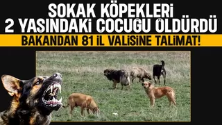 Bakan Yerlikaya'dan valilere sokak kepekleri talimatı