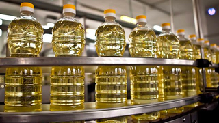 Bakandan ayçiçek yağı açıklaması