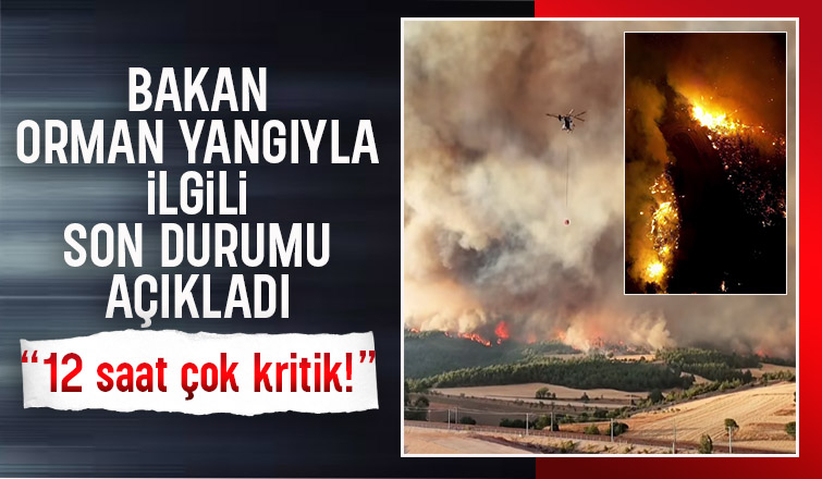 Bakandan Geyve'de çıkan Bilecik'e sıçrayan yangınla ilgili açıklama
