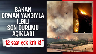Bakandan Geyve'de çıkan Bilecik'e sıçrayan yangınla ilgili açıklama