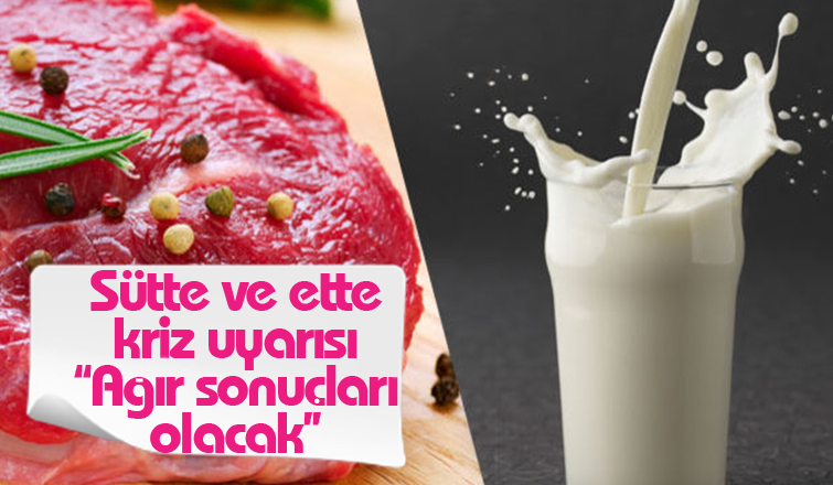 Bakanlığı hayvancılığı büyük bir krizin içerisine sokmakla suçladı