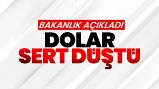 Bakanlık açıkladı dolarda sert düşüş