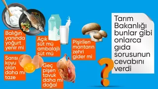 Bakanlık en fazla merak edilenleri yanıtladı: Balığın yanında yoğurt yenir mi