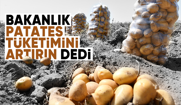 Bakanlık patates için harekete geçti