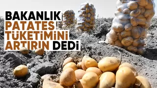 Bakanlık patates için harekete geçti