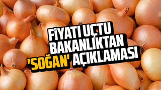 Bakanlıktan soğan açıklaması