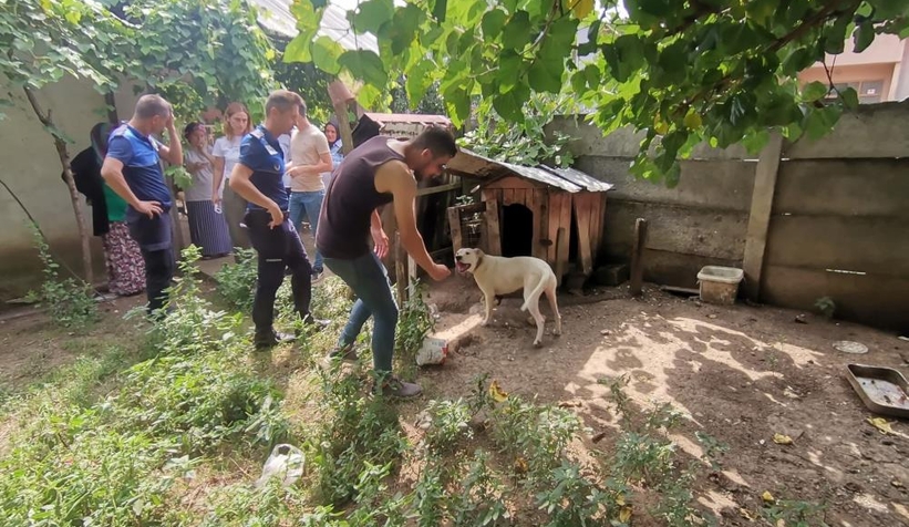 Bakılması yasak hayvanlara el konuldu