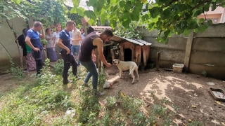 Bakılması yasak hayvanlara el konuldu