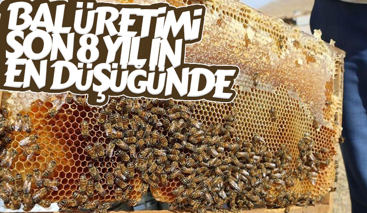 Bal üretimi son 8 yılın en düşüğünde